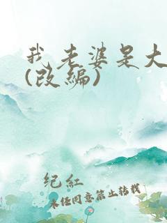 我老婆是大明星(改编)