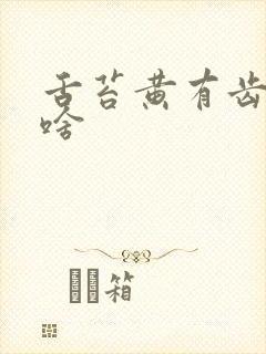 舌苔黄有齿痕吃啥