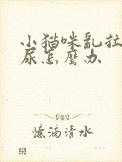 小猫咪乱拉屎拉尿怎么办