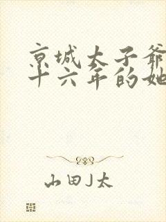 京城太子爷暗恋十六年的她短剧全集免费