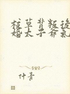 校草背叛后我闪婚太子爷气疯他时逾白全文