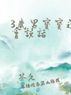 3岁男宝宝还不会说话