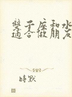 双子座和水瓶座适合做朋友吗