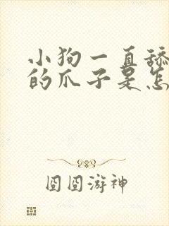 小狗一直舔自己的爪子是怎么回事