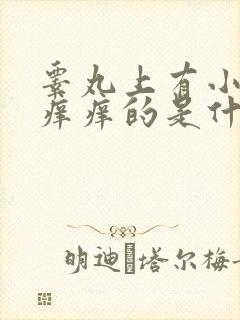 睾丸上有小疙瘩痒痒的是什么原因