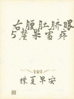 右腹肚脐眼右侧5厘米处疼