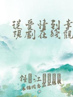 从爱情到幸福电视剧在线观看