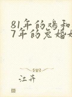 81年的鸡和87年的兔婚姻怎么样