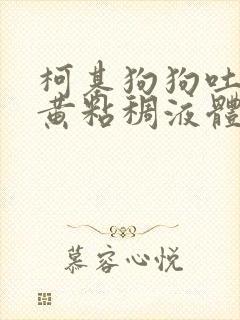 柯基狗狗吐了黄黄粘稠液体