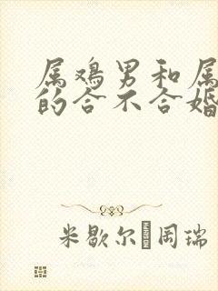 属鸡男和属虎女的合不合婚