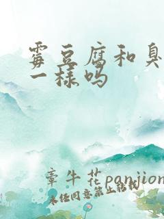 霉豆腐和臭豆腐一样吗