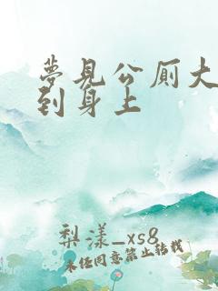 梦见公厕大便弄到身上