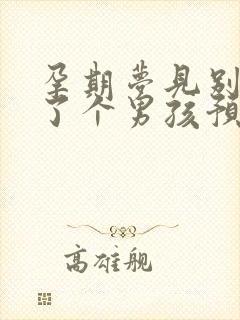 孕期梦见别人生了个男孩预示什么