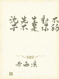 沈先生对不起孩子不是你的短剧免费观看