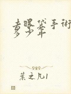 去眼袋手术能管多少年