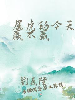 属虎的今天打牌赢不赢