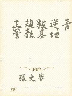 正规叛逆青少年管教基地