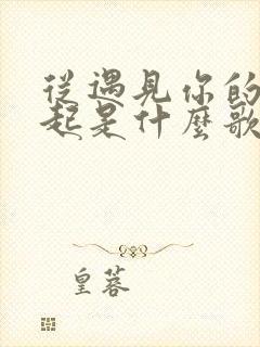 从遇见你的那天起是什么歌