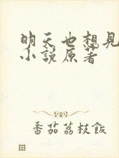 明天也想见到你小说原著