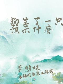 狗生了一只小狗预示什么