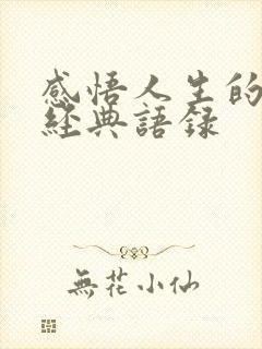 感悟人生的伤感经典语录