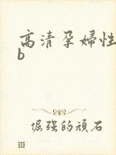 高清孕妇性孕交b