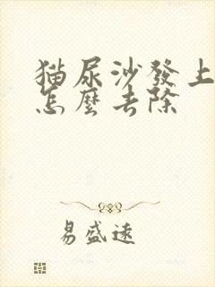 猫尿沙发上骚味怎么去除