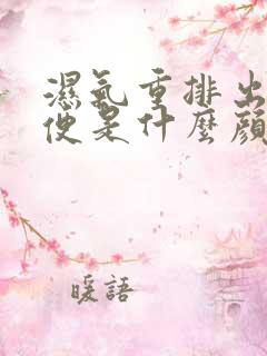 湿气重排出的大便是什么颜色