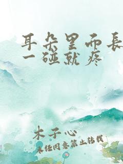 耳朵里面长疙瘩一碰就疼