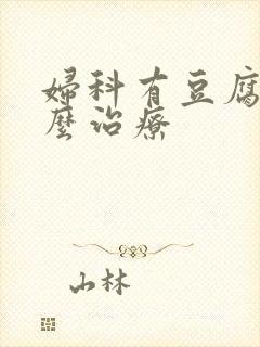 妇科有豆腐渣怎么治疗