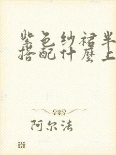 紫色纱裙半身裙搭配什么上衣好看