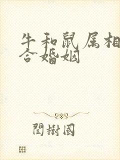 牛和鼠属相合不合婚姻