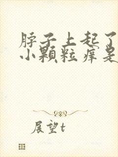 脖子上起了很多小颗粒痒是什么原因