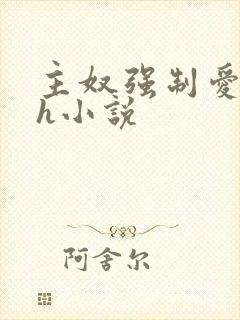 主奴强制爱双性h小说