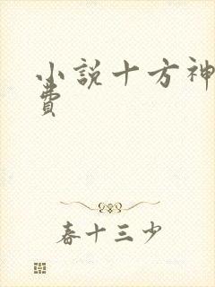 小说十方神王免费