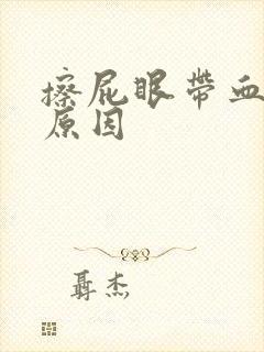 擦屁眼带血什么原因