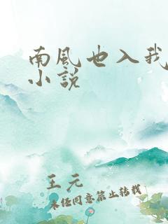 南风也入我怀的小说