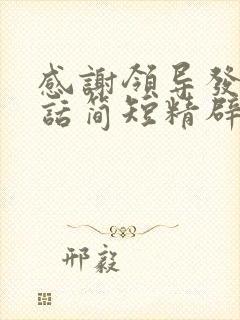 感谢领导发言的话简短精辟