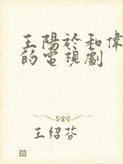 王阳于和伟主演的电视剧