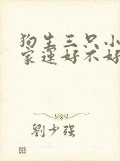 狗生三只小狗对家运好不好