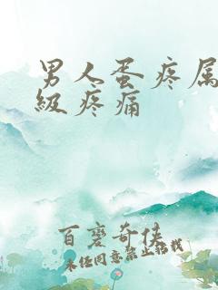 男人蛋疼属于几级疼痛