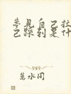 梦见自己拉屎自己踩到是什么意思