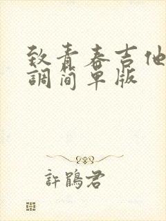 致青春吉他谱c调简单版