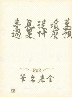 梦见从坟墓边路过是什么预兆