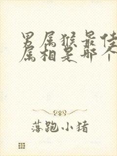 男属猴最佳婚配属相是哪个?