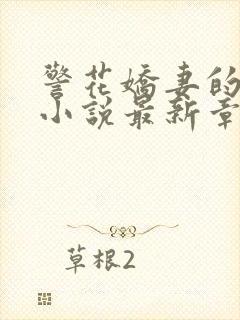 警花娇妻的蜕变小说最新章节免费阅读