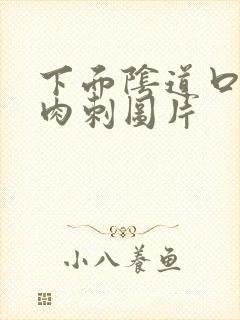 下面阴道口长小肉刺图片