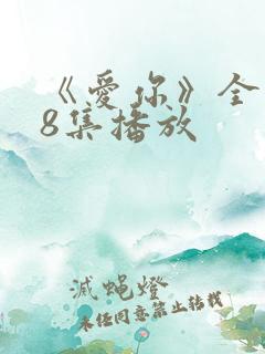 《爱你》全集28集播放