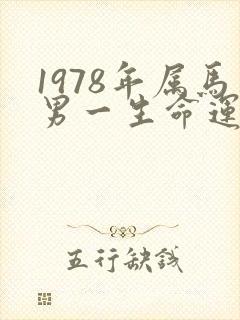 1978年属马男一生命运如何