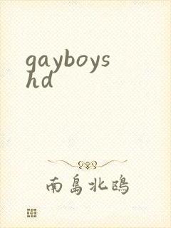 gayboyshd